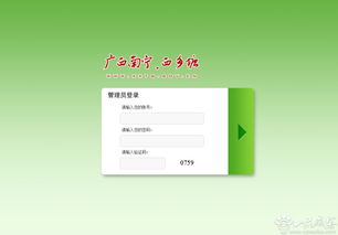 广西南宁市六城区政务网登录页面设计